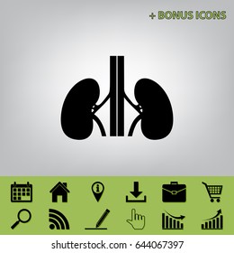 Human anatomy. Kidneys sign. Vector. Black icon at gray background with bonus icons at celery ones
