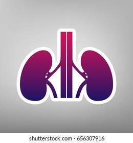 Human anatomy. Kidneys sign. Vector. Purple gradient icon on white paper at gray background.