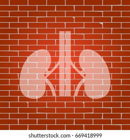 Human anatomy. Kidneys sign. Vector. Whitish icon on brick wall as background.