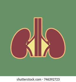 Human anatomy. Kidneys sign. Vector. Cordovan icon and mellow apricot halo with light khaki filled space at russian green background.