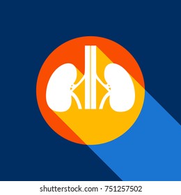 Human anatomy. Kidneys sign. Vector. White icon on tangelo circle with infinite shadow of light at cool black background. Selective yellow and bright navy blue are produced.