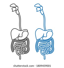 Icono vectorial de línea de anatomía humana para aplicaciones y sitios web