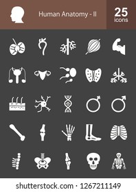 Human Anatomy Line Icons