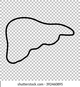 Human anatomy. Liver sign. Line icon on transparent background