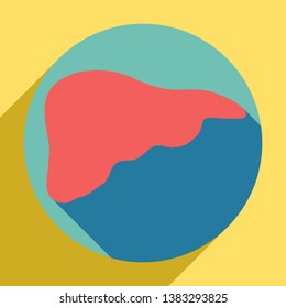 Human anatomy. Liver sign. Sunset orange icon with llapis lazuli shadow inside medium aquamarine circle with different goldenrod shadow at royal yellow background.