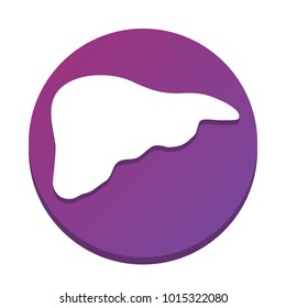 Human anatomy. Liver sign. Vector. White icon with flat shadow on purpureus circle at white background. Isolated.