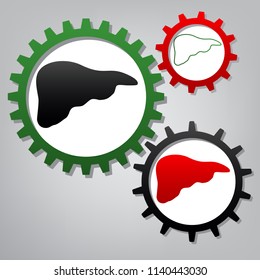 Human anatomy. Liver sign. Vector. Three connected gears with icons at grayish background.