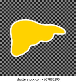 Human anatomy. Liver sign. Vector. Yellow icon with white contour on dark transparent background.