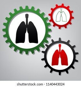 Human anatomy. Lungs sign. Vector. Three connected gears with icons at grayish background.