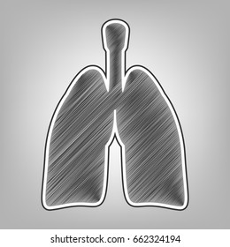 Human anatomy. Lungs sign. Vector. Pencil sketch imitation. Dark gray scribble icon with dark gray outer contour at gray background.