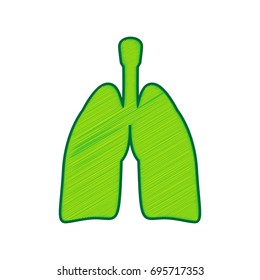 Human anatomy. Lungs sign. Vector. Lemon scribble icon on white background. Isolated