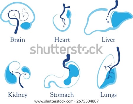 human anatomy modern design and logo collection brain, heart, liver, kidney, stomach and lungs. vector illustration.