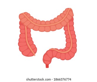 2,913 Ascending colon Images, Stock Photos & Vectors | Shutterstock