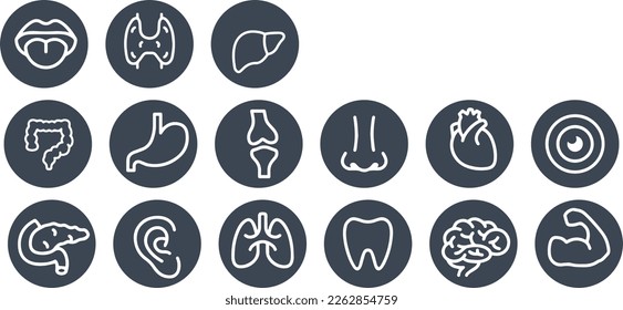Human Anatomy  Outline Icon vector design