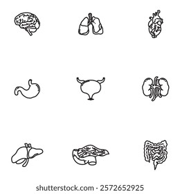 Human Anatomy Outline Pack. Medical Organ Outline Collection. Vector Pack: Human Organ Outlines