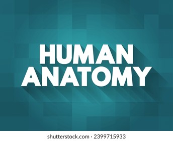 Human Anatomy is the science that studies the structure of the body, text concept background