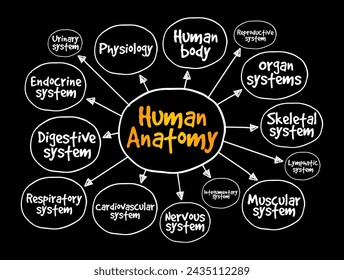 Menschliche Anatomie ist die Wissenschaft, die die Struktur des Körpers studiert, Mind Map Text Konzept Hintergrund
