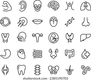 Human Anatomy - set of line vector icons