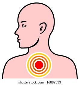 Human anatomy side profile