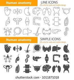 Human anatomy simple and line icons set
