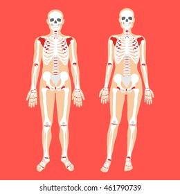 Human anatomy and skeletal system. Female and male bodies and skeletons. Modern concepts for web banners, infographics, websites, printed materials. Flat style design vector illustration