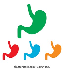 Human anatomy. Stomach sign