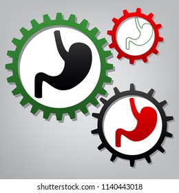 Human anatomy. Stomach sign. Vector. Three connected gears with icons at grayish background.