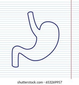Human anatomy. Stomach sign. Vector. Navy line icon on notebook paper as background with red line for field.