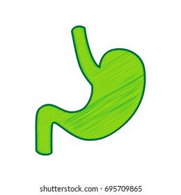 Human anatomy. Stomach sign. Vector. Lemon scribble icon on white background. Isolated