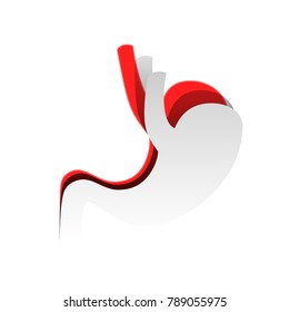 Human anatomy. Stomach sign. Vector. Detachable paper icon with red body stock. Isolated.