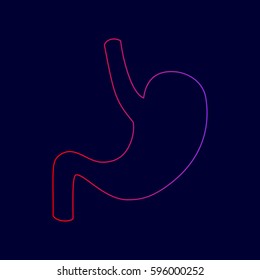 Human anatomy Stomach. Vector. Line icon with gradient from red to violet colors on dark blue background.