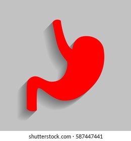 Human anatomy Stomach. Vector. Red icon with soft shadow on gray background.