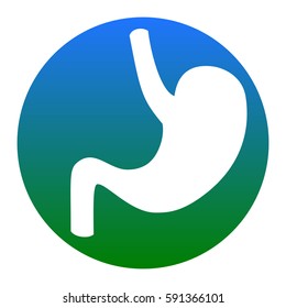 Human anatomy Stomach. Vector. White icon in bluish circle on white background. Isolated.
