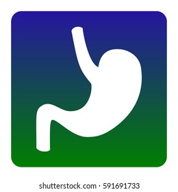 Human anatomy Stomach. Vector. White icon at green-blue gradient square with rounded corners on white background. Isolated.