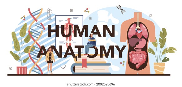 Human anatomy typographic header. Internal human organ studying. Anatomy and biology concept. Human body system. Liver and kidney, heart and stomach. Flat vector illustration