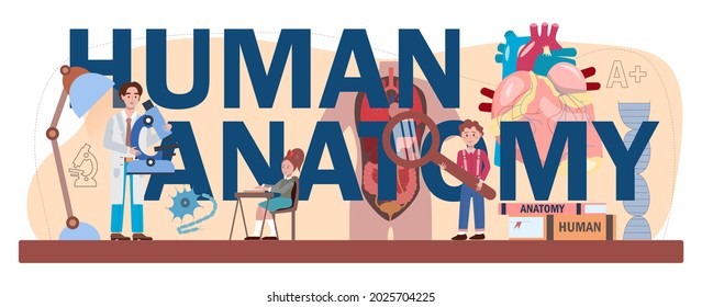 Human anatomy typographic header. Internal human organ studying. Anatomy and biology school subject. Human body systems. Isolated flat vector illustration