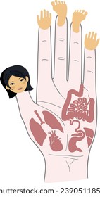 Human anatomy. Vector illustration of human hand and internal organs. Sujok therapy and acupuncture