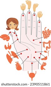 Human anatomy. Vector illustration of human hand and internal organs. Sujok therapy and acupuncture