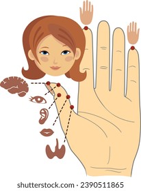 Human anatomy. Vector illustration of human hand and internal organs. Sujok therapy and acupuncture