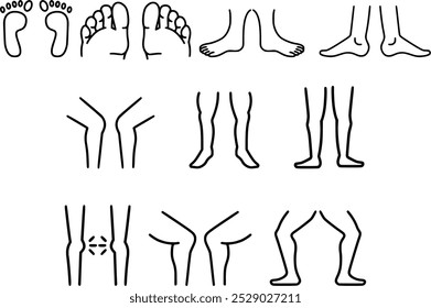 Human Anatomy Vector Set: Foot, Toe, Knee, Leg, and Patella Illustrations for Medical, Educational, and Artistic Purposes - Perfect for Designers and Health Professionals