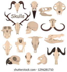 Human and animals skulls color vector icons set. Flat design