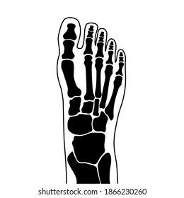 Icono de tobillo humano para la clínica. Anatomía normal de las articulaciones y huesos en la silueta de la pierna. Afiche médico de Skeleton x ray. Tratamiento ortopédico o quiropráctico. Concepto de logo anatómico. ilustración vectorial.
