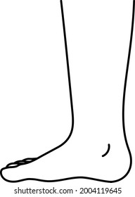 Human ankle isolated vector illustration.