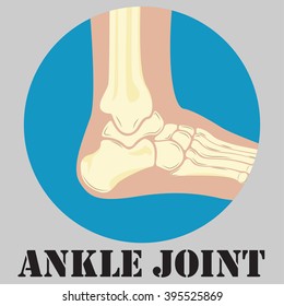 Human ankle joint emblem, medicine clinic symbol, diagnostics center, flat design logo, vector