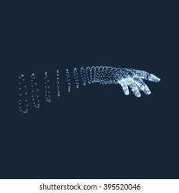 Human Arm. Human Hand Model. Hand Scanning. View of Human Hand. 3D Geometric Design. 3d Covering Skin. Can be used for Science, Technology, Medicine, Hi-Tech, Sci-Fi.