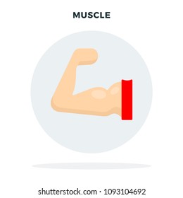 Human arm with a muscle in a gray circle vector flat material design isolated on white