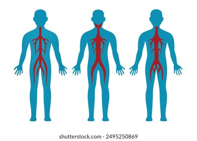 Human Artery Kollektion Set, Körperteile der isolierten menschlichen flachen Vektorillustration auf weißem Hintergrund