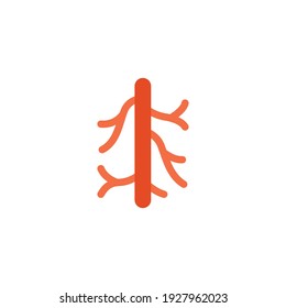 Human artery coloured icon. Flat style can be used for web, mobile, ui. Blood, vessel, artery, vascular, vein, cardiovascular, heart concept. Vector illustration isolated on white background. EPS 10.