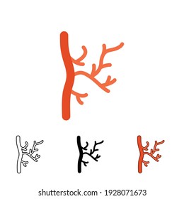 Human artery icon in different style. Two colored and black human artery vector icons designed in filled outline, line, glyph and solid style. Vector illustration isolated on white background. EPS 10