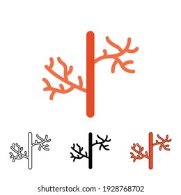 Human artery icon in different style. Two colored and black human artery vector icons designed in filled outline, line, glyph and solid style. Vector illustration isolated on white background. EPS 10
